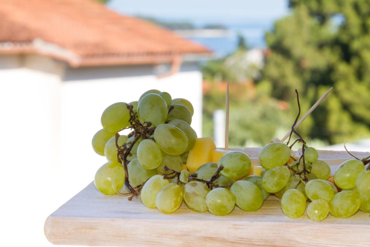 Studio Apartman Nega 2 Rovinj Exteriér fotografie